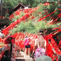 Quyên