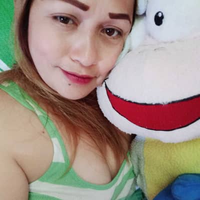 YLEVOL