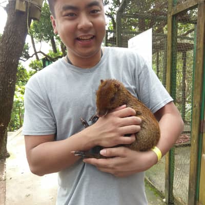 Kevin