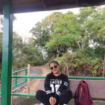 lourie