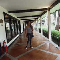 Francis