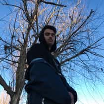 nozel