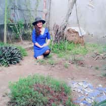 camxuan