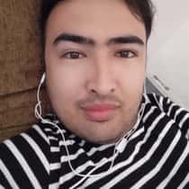 hamid