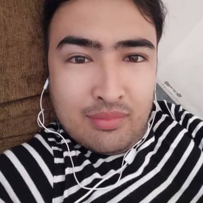 hamid