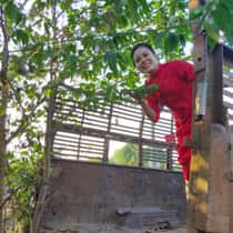Thuỷ Phuong