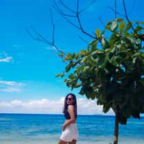 Shane Tolentino