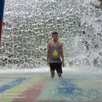 tomy