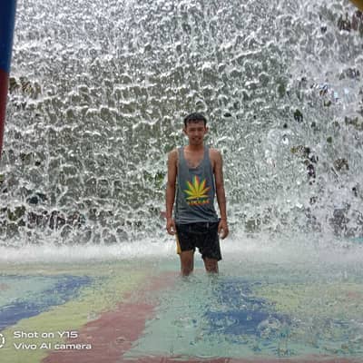 tomy