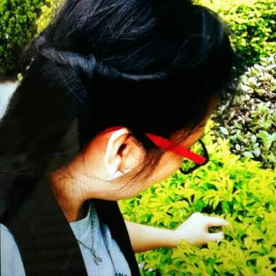 zhuie