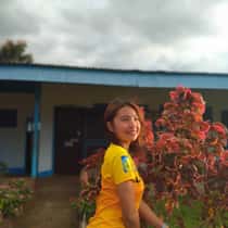 Shawe