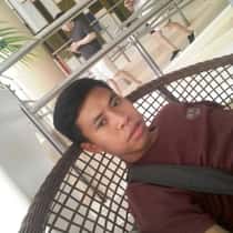Reynard