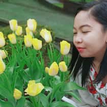 Prezel