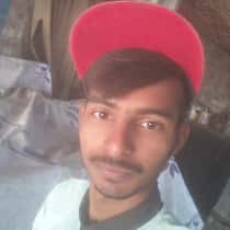 Arslan lov