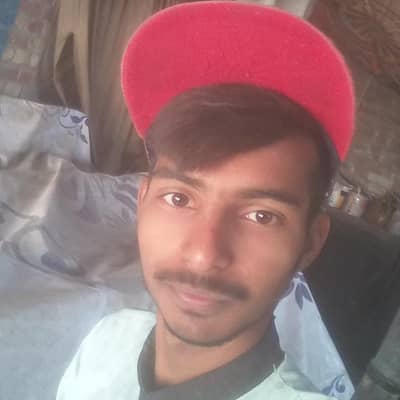 Arslan lov