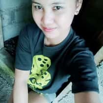 Erlyn