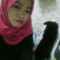 nydha