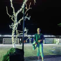 Catt_leya