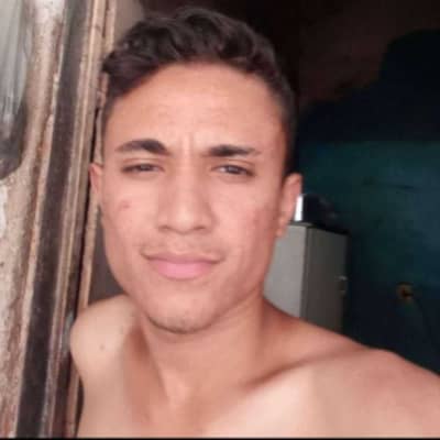 Wallace lemos