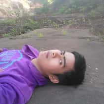 herdi