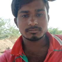 Anis