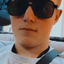 sander