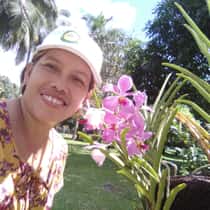 dyesibel