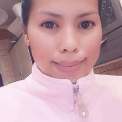 Lark vinice
