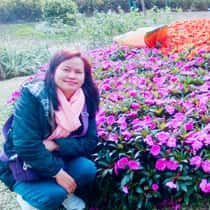 Ailene