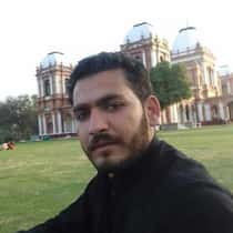 ham safar