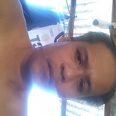 Rey verano