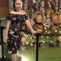 Jocelynredolosa