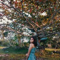 May Ann