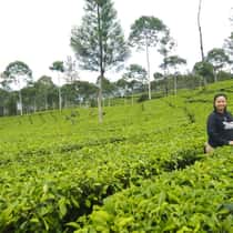 Putri