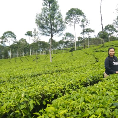 Putri