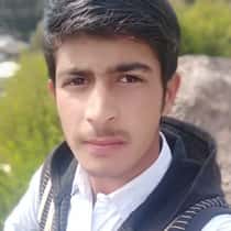 Malik anees
