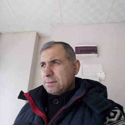 patruso kattdira