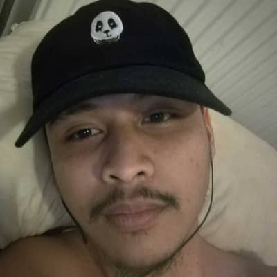Javaanse kip