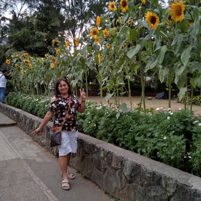 minda sanjose