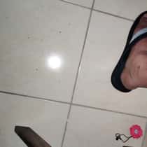 alohaa
