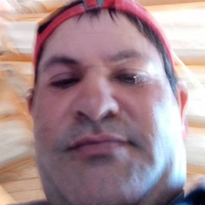 Ivo