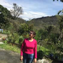 Leena