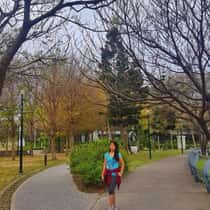 y_eva17