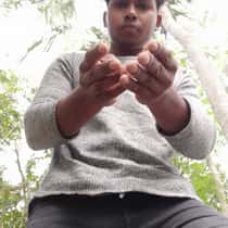 Bivuti Morol
