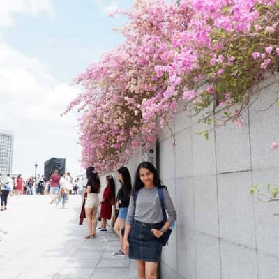 Cempaka