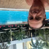 Bruno Nicoletti