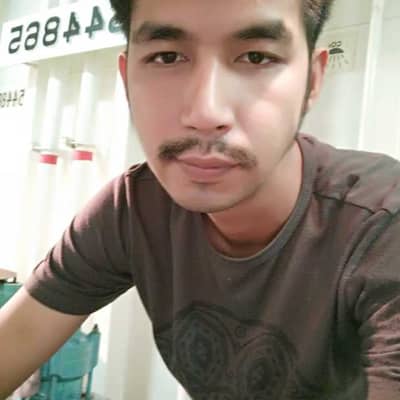 Thaw zin