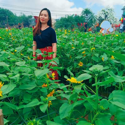 ANH