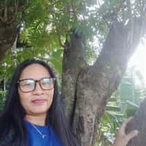 Ai ai