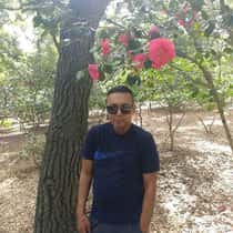 Davdin